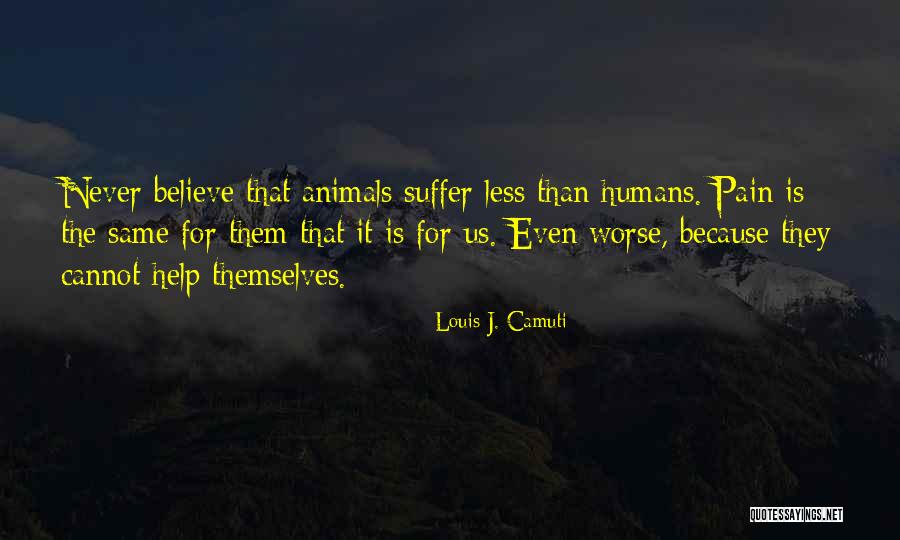 Aceh Quotes By Louis J. Camuti Aceh Quotes By Louis J. Camuti