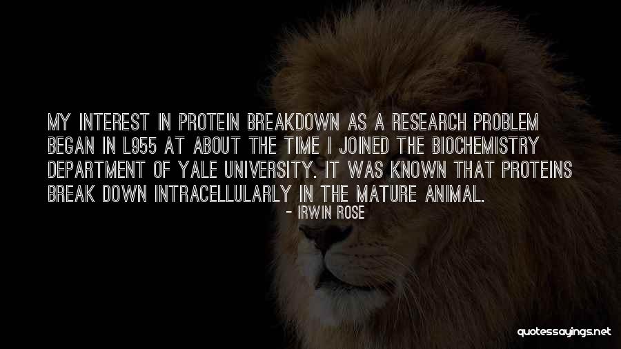 Aceleasi Quotes By Irwin Rose Aceleasi Quotes By Irwin Rose