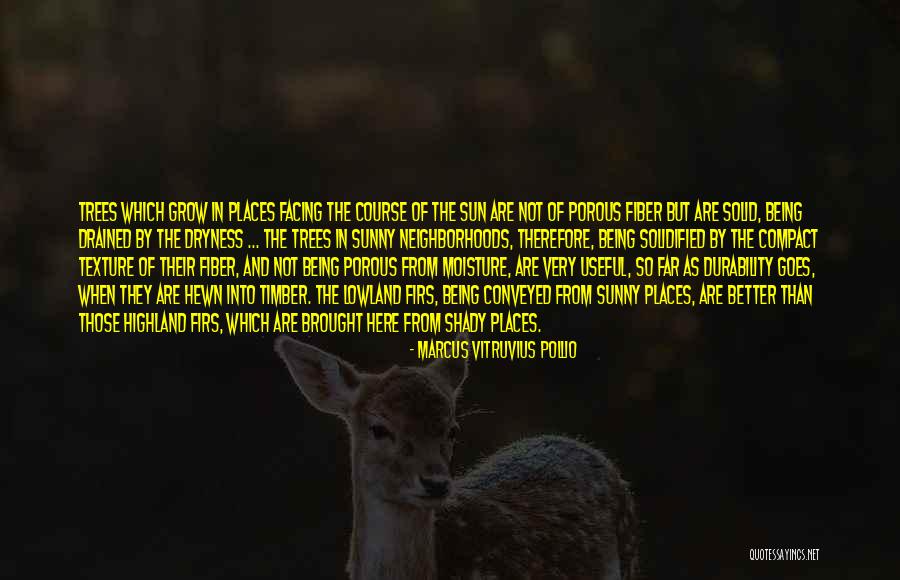 Aceleasi Sentimente Quotes By Marcus Vitruvius Pollio Aceleasi Sentimente Quotes By Marcus Vitruvius Pollio