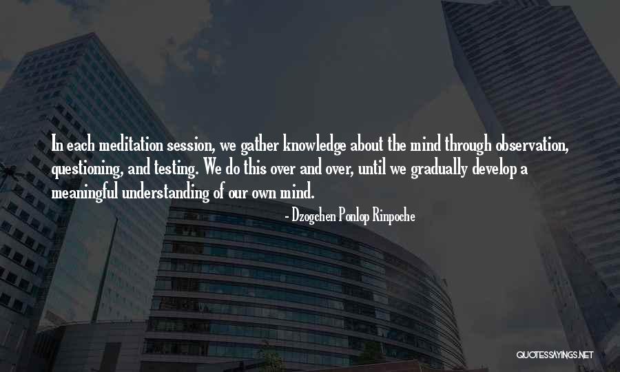Acelerados Sbt Quotes By Dzogchen Ponlop Rinpoche Acelerados Sbt Quotes By Dzogchen Ponlop Rinpoche