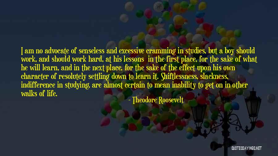 Acelerar Pc Quotes By Theodore Roosevelt Acelerar Pc Quotes By Theodore Roosevelt