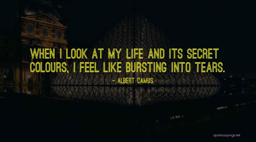 Acepciones Ejemplos Quotes By Albert Camus Acepciones Ejemplos Quotes By Albert Camus