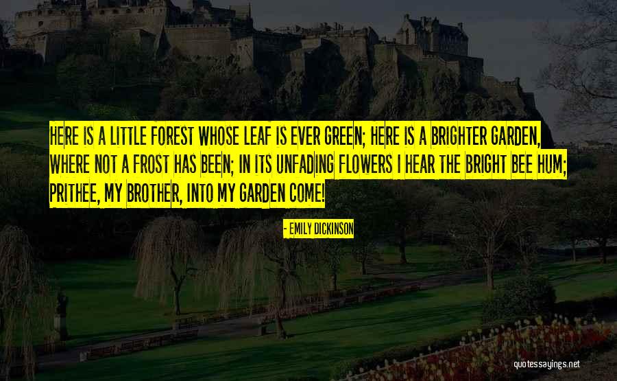 Acerbo Y Quotes By Emily Dickinson Acerbo Y Quotes By Emily Dickinson