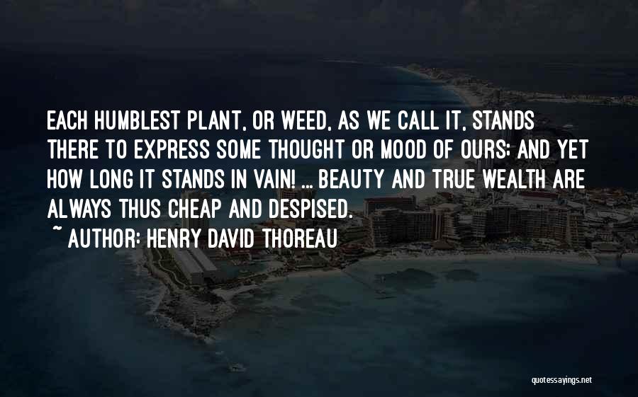 Acertara Quotes By Henry David Thoreau