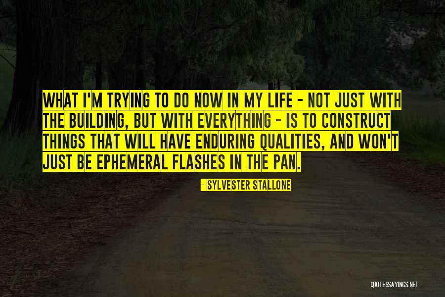 Aceves Insurance Quotes By Sylvester Stallone Aceves Insurance Quotes By Sylvester Stallone