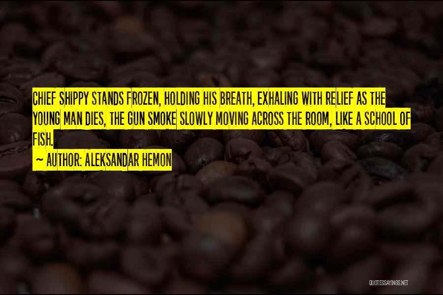 Achaion Quotes By Aleksandar Hemon