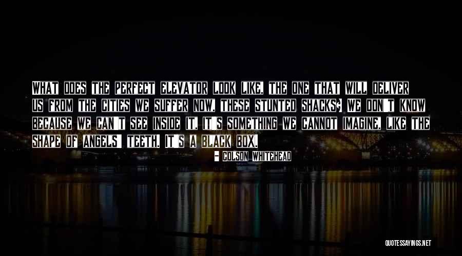 Achamos No Brasil Quotes By Colson Whitehead Achamos No Brasil Quotes By Colson Whitehead