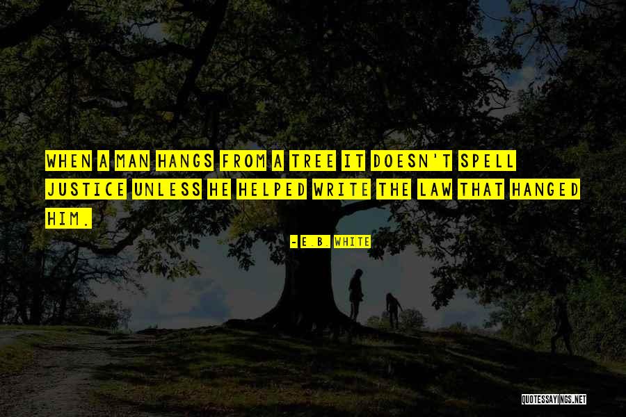 Achans Family Quotes By E.B. White Achans Family Quotes By E.B. White