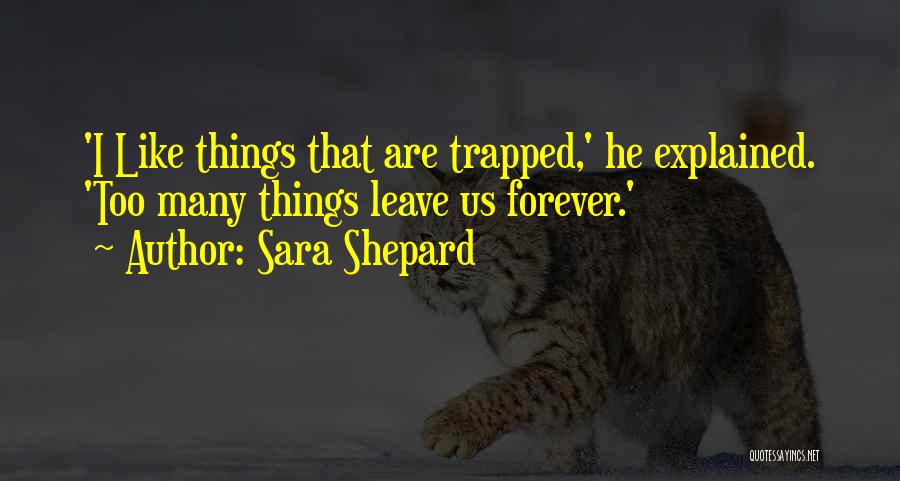 Acharnement Therapeutique Quotes By Sara Shepard