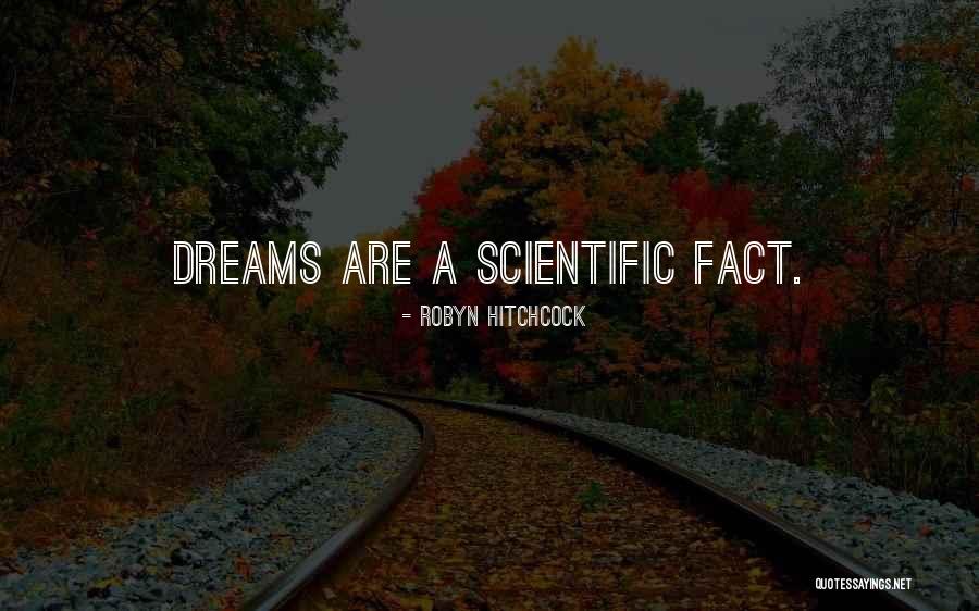 Achatz Pies Quotes By Robyn Hitchcock Achatz Pies Quotes By Robyn Hitchcock