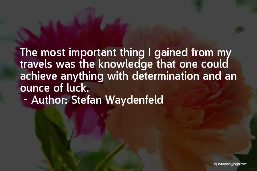 Achieve Anything Quotes By Stefan Waydenfeld