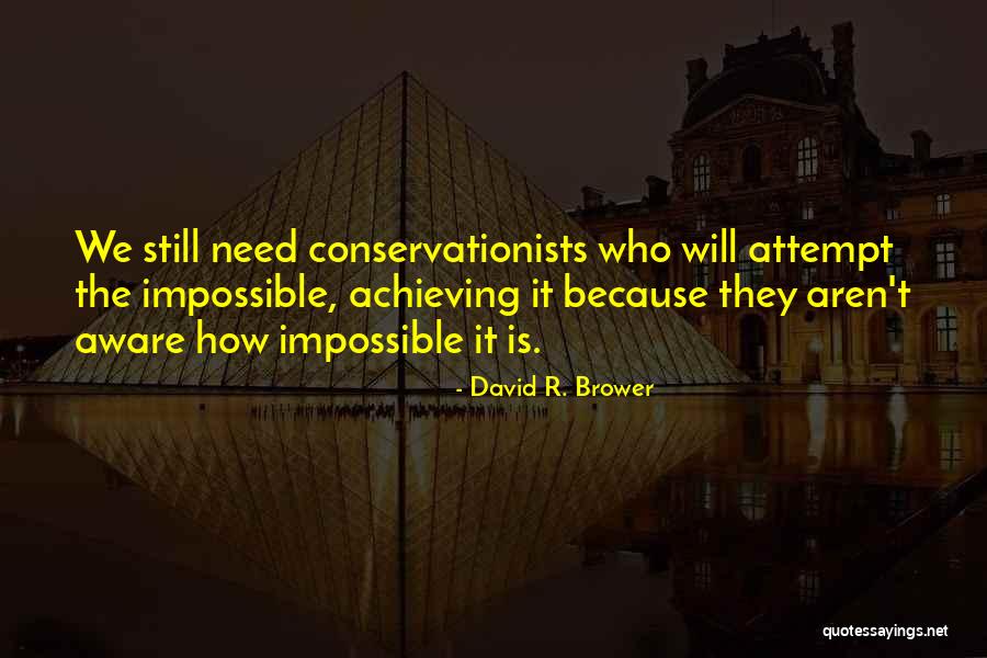 Achieve Impossible Quotes By David R. Brower