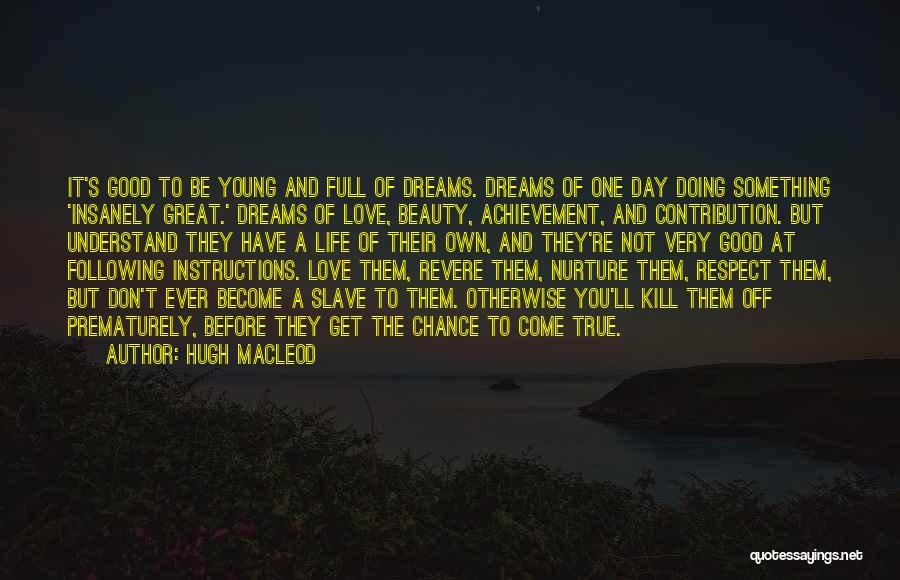 Achievement And Dreams Quotes By Hugh MacLeod