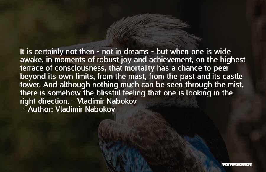 Achievement And Dreams Quotes By Vladimir Nabokov