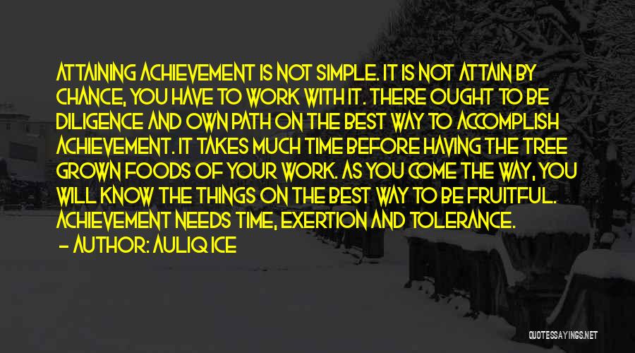 Achievement And Hard Work Quotes By Auliq Ice
