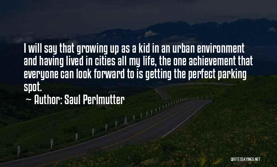 Achievement In Life Quotes By Saul Perlmutter