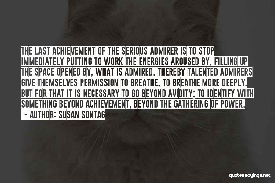 Achievement In Work Quotes By Susan Sontag