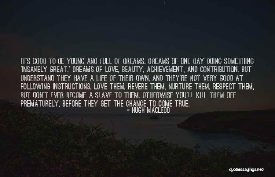 Achievement Of Love Quotes By Hugh MacLeod