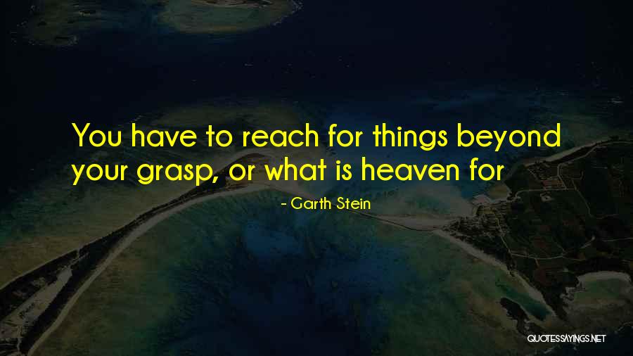 Achieving Dreams Quotes By Garth Stein Achieving Dreams Quotes By Garth Stein