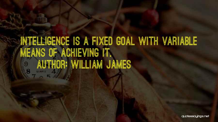 Achieving Goal Quotes By William James