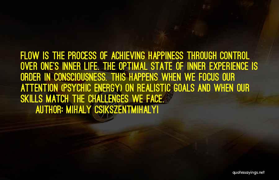 Achieving Goals In Life Quotes By Mihaly Csikszentmihalyi