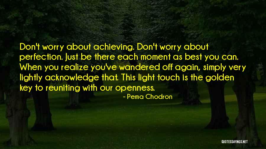 Achieving Perfection Quotes By Pema Chodron