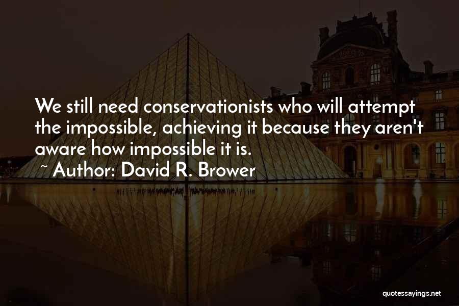 Achieving The Impossible Quotes By David R. Brower