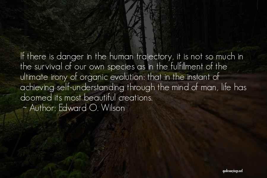 Achieving Things On Your Own Quotes By Edward O. Wilson