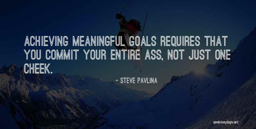 Achieving Your Goals Quotes By Steve Pavlina