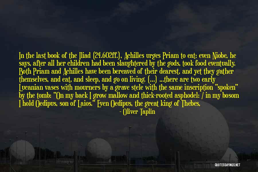 Achilles Iliad Quotes By Oliver Taplin Achilles Iliad Quotes By Oliver Taplin