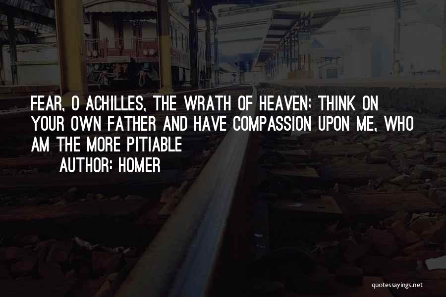 Achilles Wrath Quotes By Homer