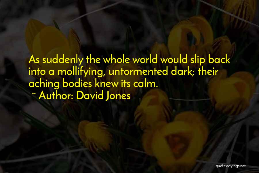 Aching Back Quotes By David Jones