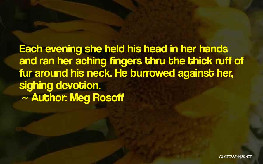 Aching Quotes By Meg Rosoff