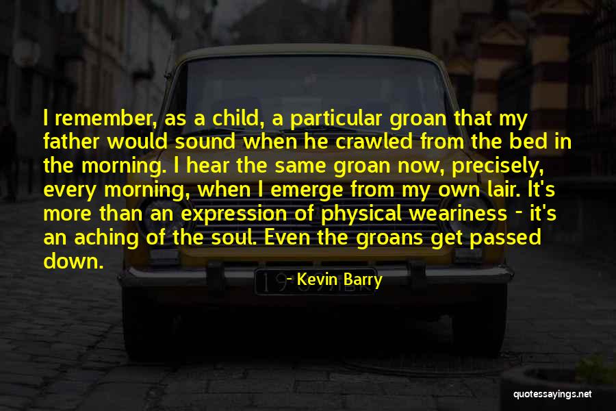 Aching Soul Quotes By Kevin Barry