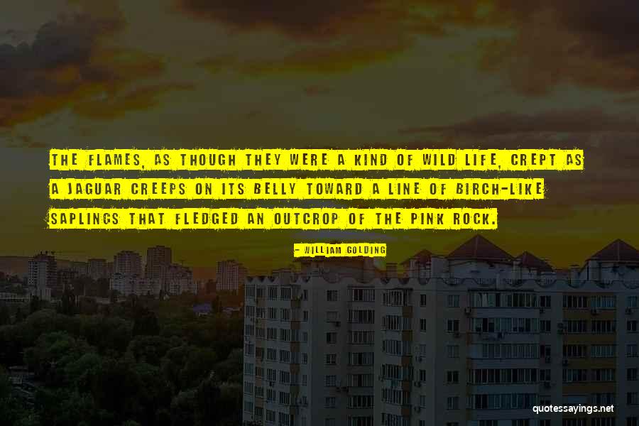 Achizitie Domeniu Quotes By William Golding Achizitie Domeniu Quotes By William Golding
