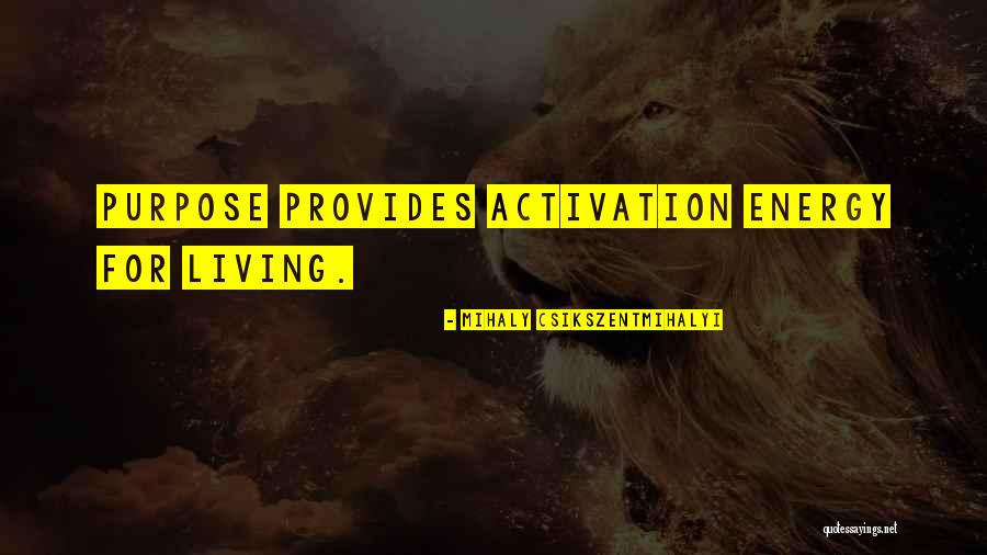Achterwaarts Zoeken Quotes By Mihaly Csikszentmihalyi