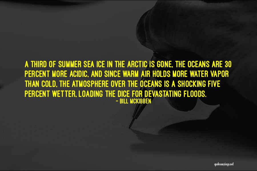 Acidic Quotes By Bill McKibben