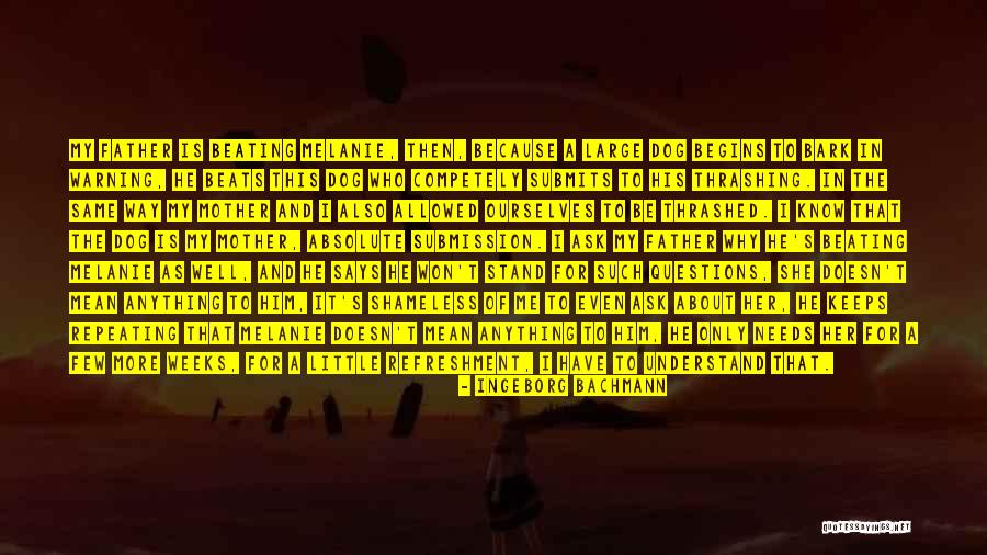 Acies Sunglasses Quotes By Ingeborg Bachmann