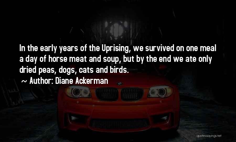 Ackerman Quotes By Diane Ackerman