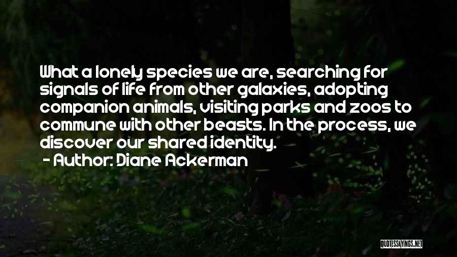 Ackerman Quotes By Diane Ackerman