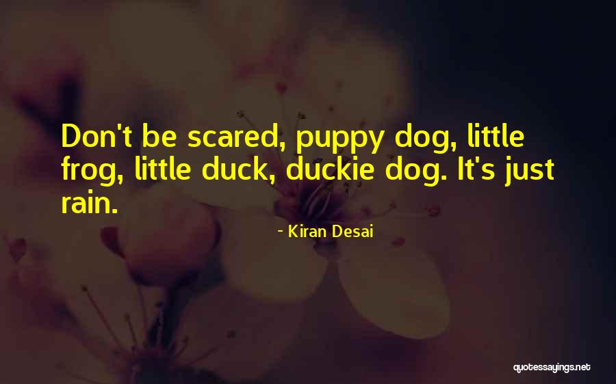 Ackermann International Quotes By Kiran Desai Ackermann International Quotes By Kiran Desai