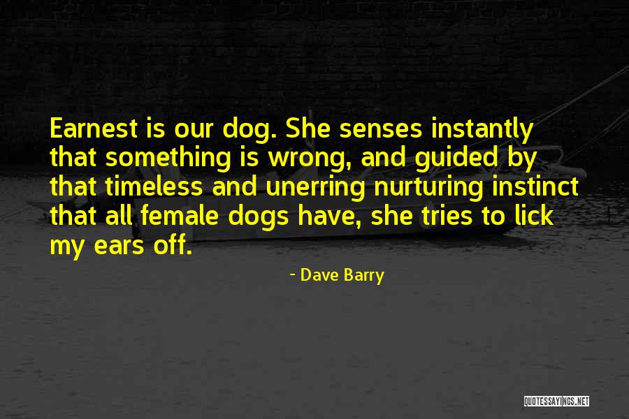 Acknowledgements For Funerals Quotes By Dave Barry Acknowledgements For Funerals Quotes By Dave Barry