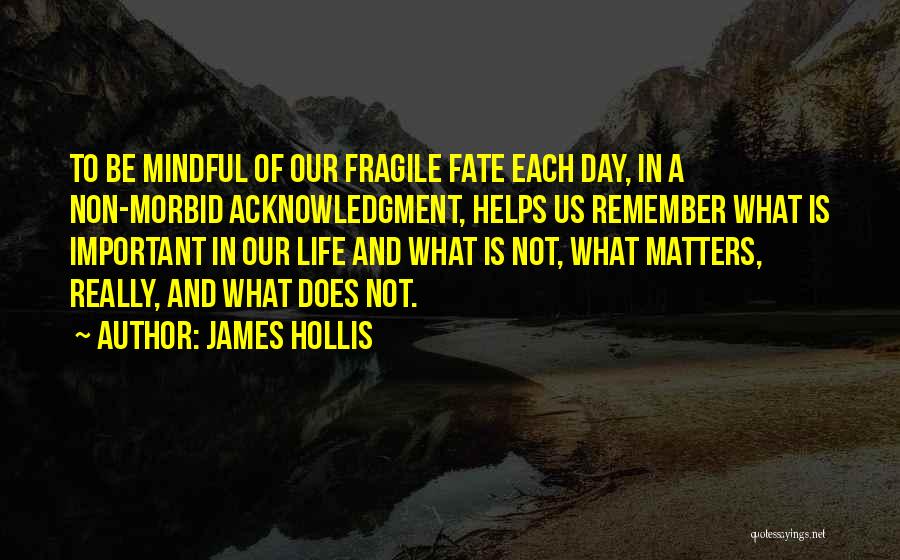 Acknowledgment Quotes By James Hollis