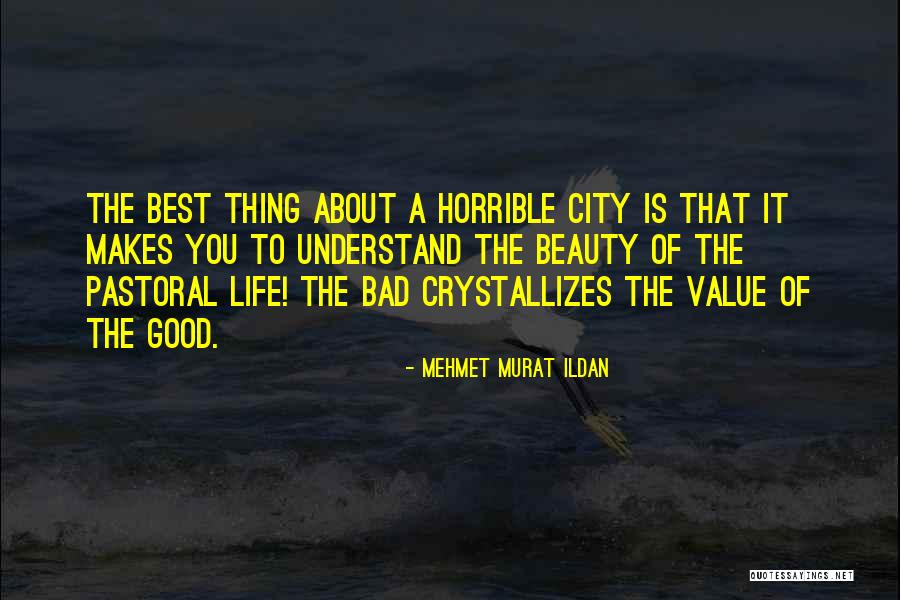 Aclare House Quotes By Mehmet Murat Ildan