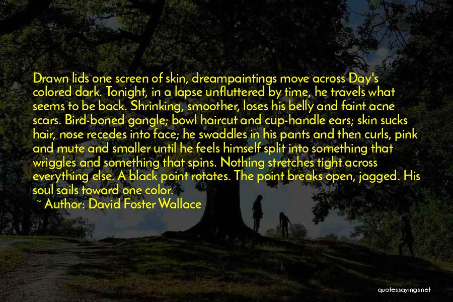 Acne Quotes By David Foster Wallace
