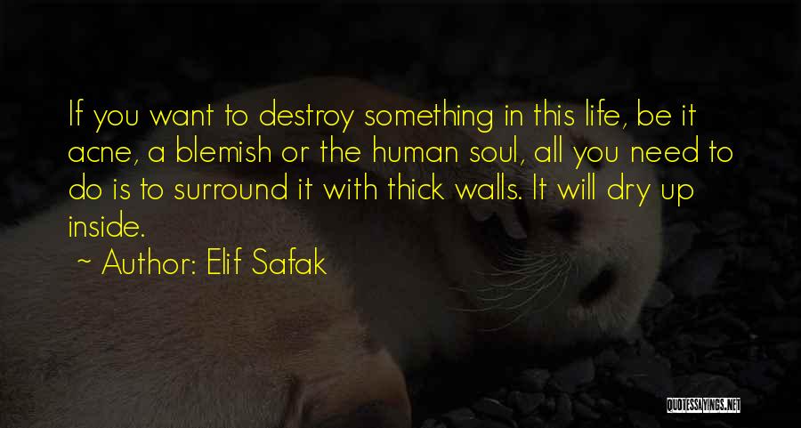 Acne Quotes By Elif Safak