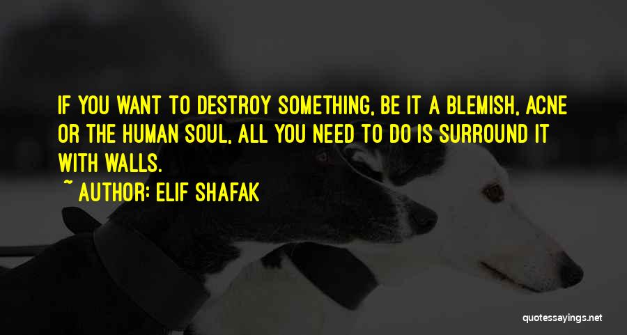Acne Quotes By Elif Shafak