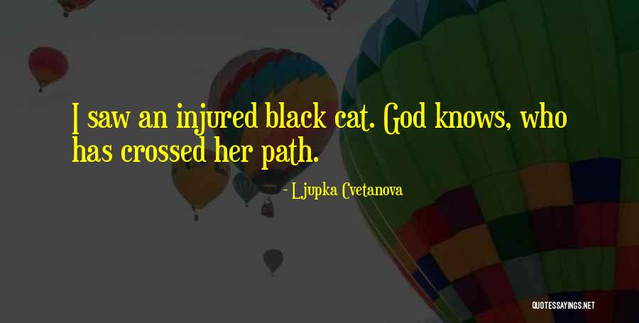 Acokanthera Schimperi Quotes By Ljupka Cvetanova Acokanthera Schimperi Quotes By Ljupka Cvetanova