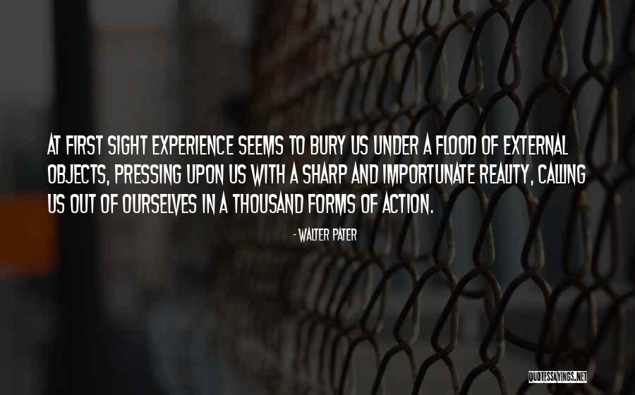 Acolytes Protection Quotes By Walter Pater Acolytes Protection Quotes By Walter Pater