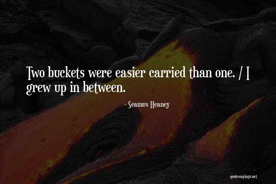 Acomodar Significado Quotes By Seamus Heaney Acomodar Significado Quotes By Seamus Heaney